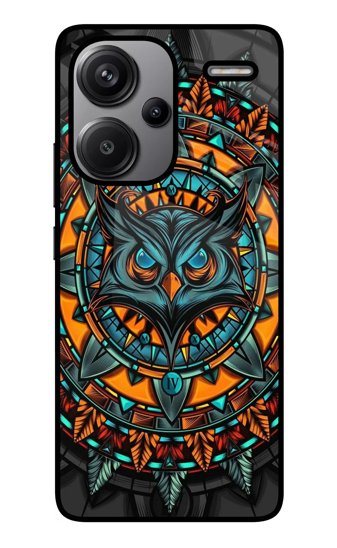 Angry Owl Art Redmi Note 13 Pro+ 5G Back Cover