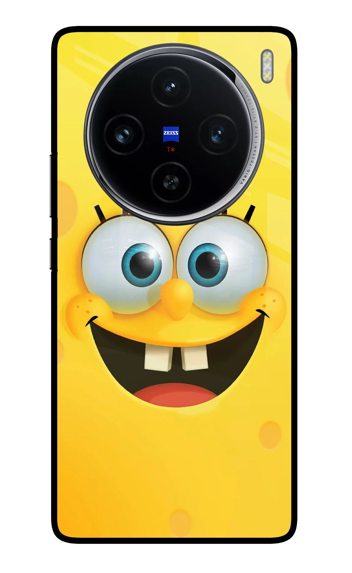 Sponge 1 Vivo X100 Glass Case