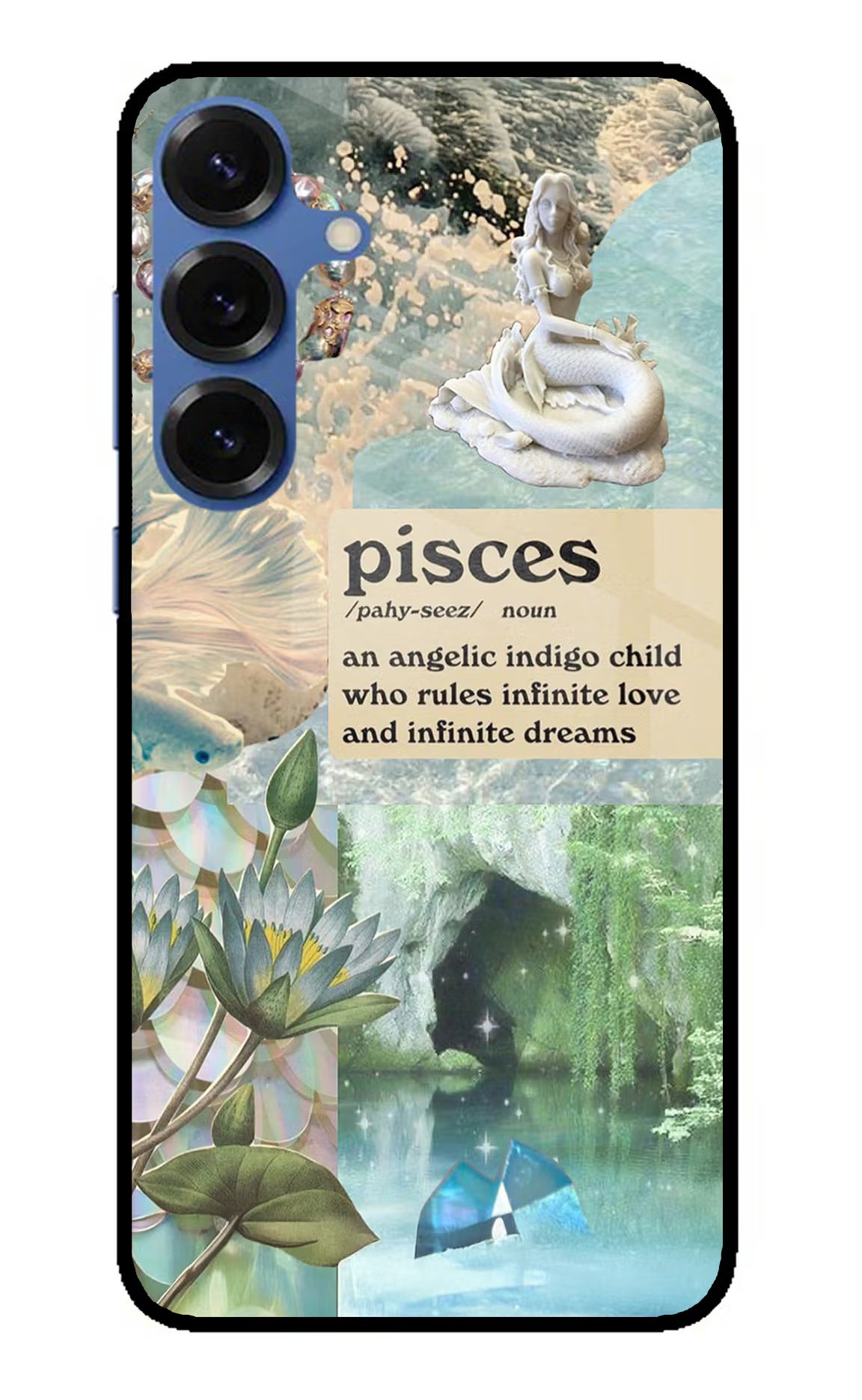 Pisces Zodiac Samsung S25 Plus Back Cover