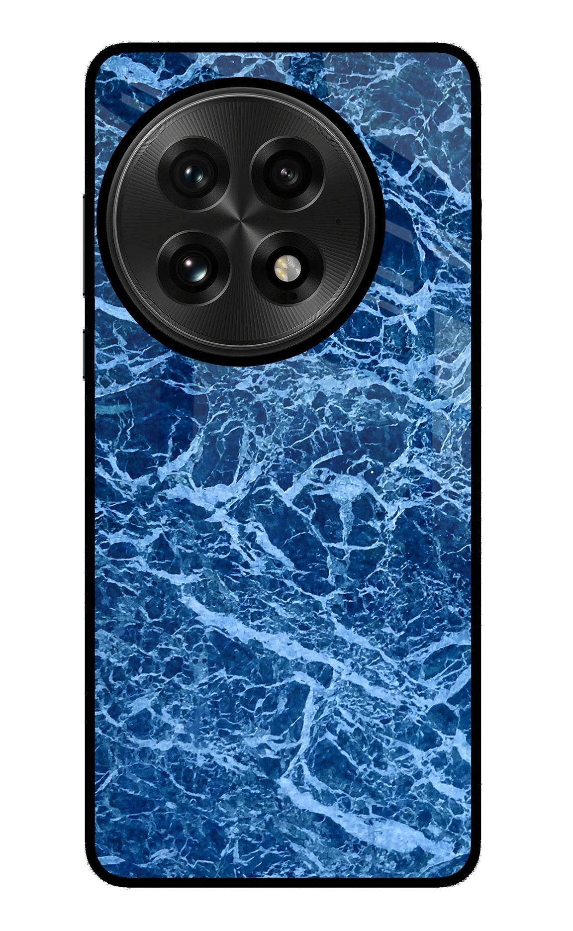 Blue Marble OnePlus 13 Back Cover