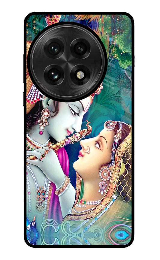 Lord Radha Krishna OnePlus 13 Back Cover