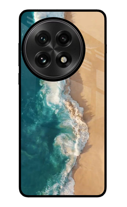 Ocean Beach OnePlus 13 Back Cover
