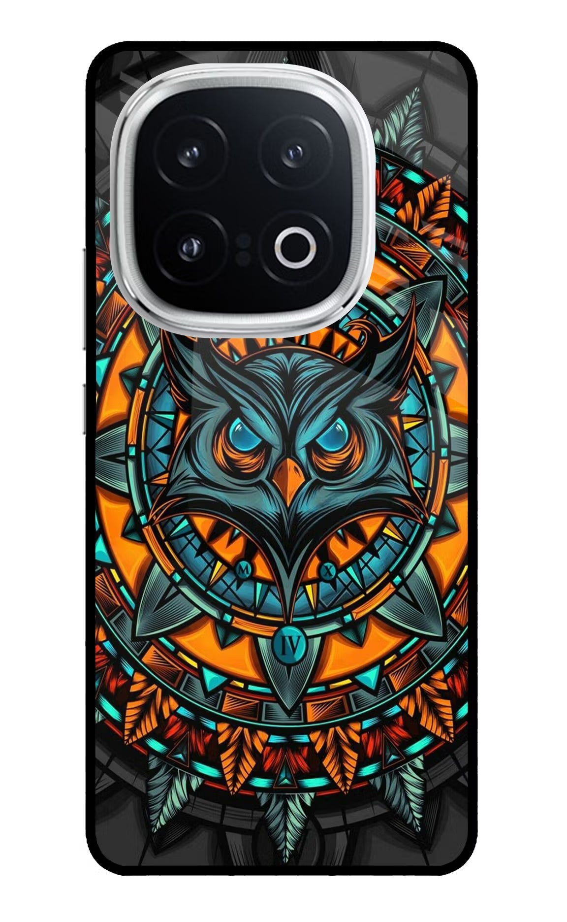 Angry Owl Art iQOO 13 5G Back Cover