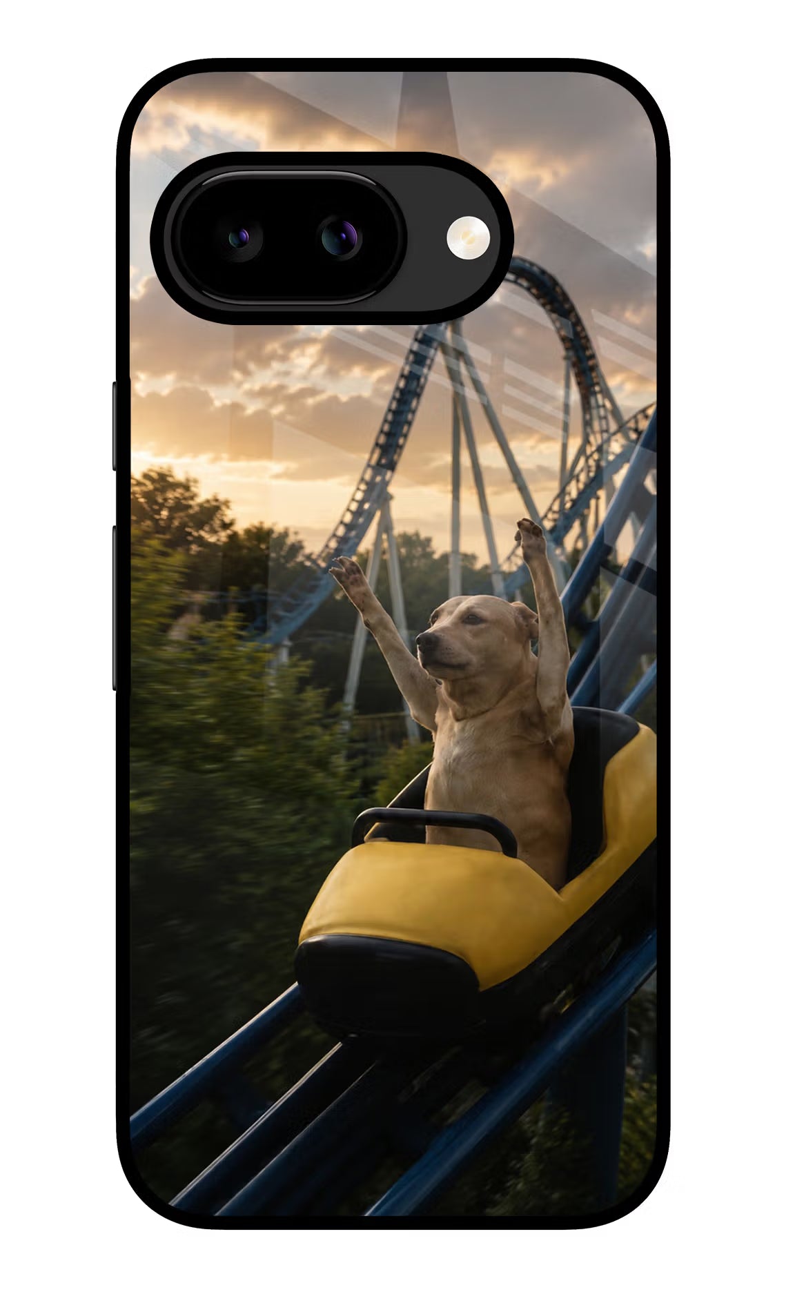 Rollercoaster Dog Google Pixel 9a Back Cover Glass Case - Hello Swanky