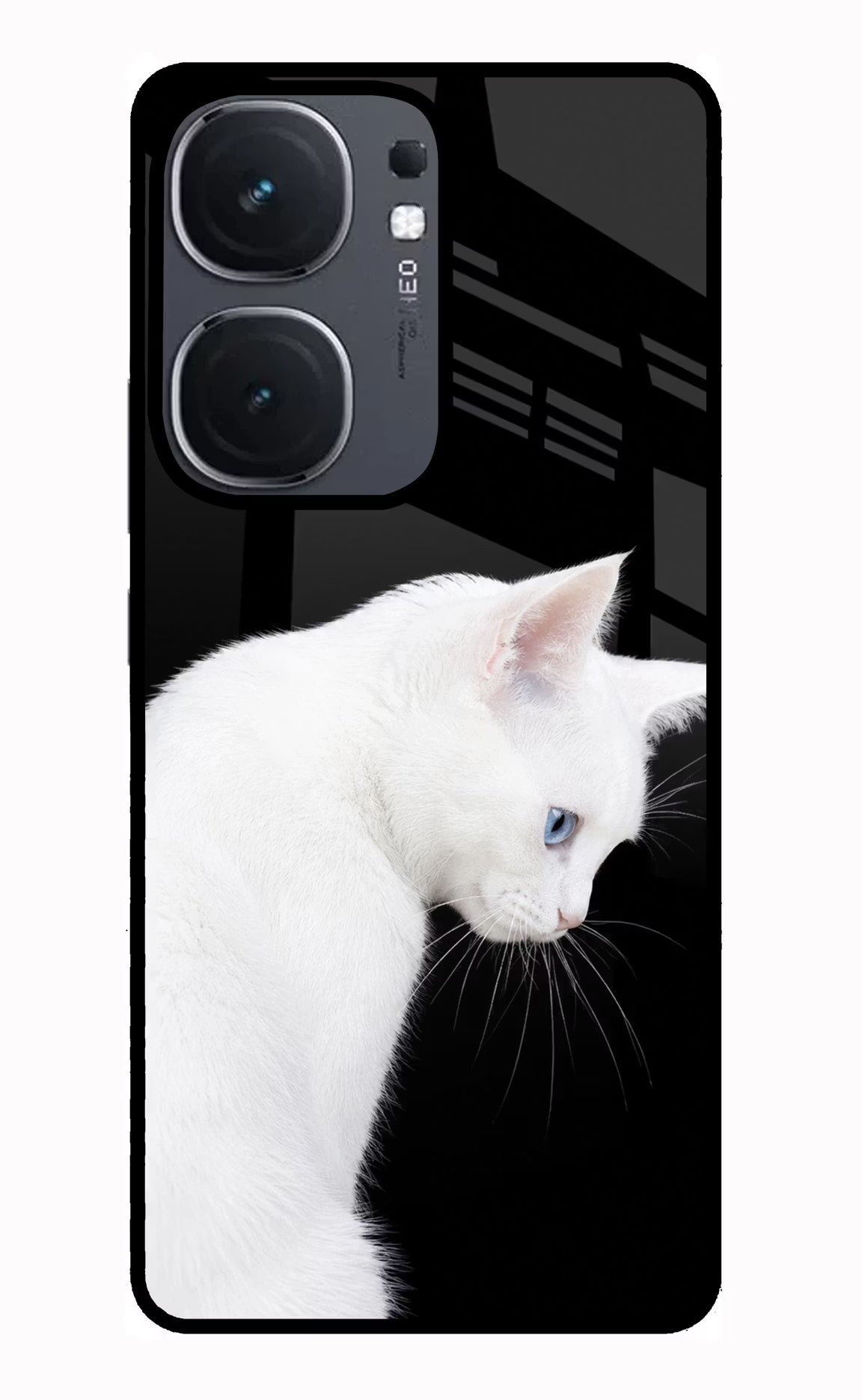 Snow Gaze iQOO Neo 9 Back Cover Glass Case - Hello Swanky