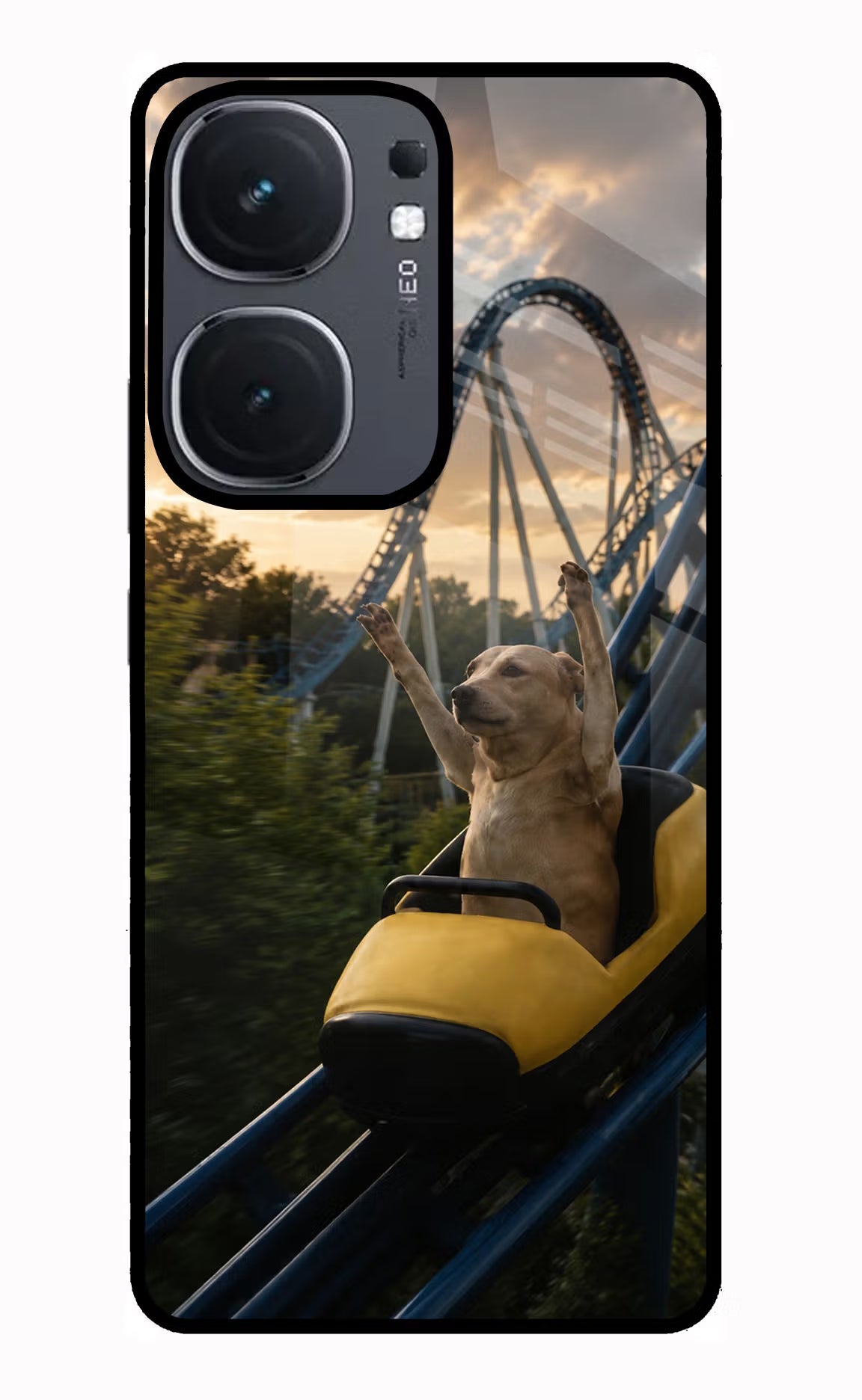 Rollercoaster Dog iQOO Neo 9 Back Cover Glass Case - Hello Swanky