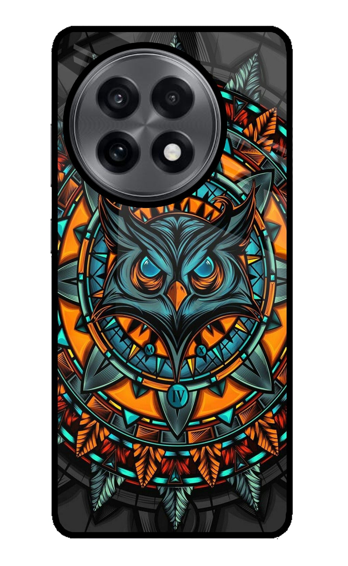 Angry Owl Art OnePlus 13R Back Cover
