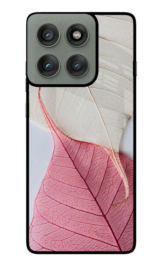 White Pink Leaf Moto Edge 60 Pro Glass Case