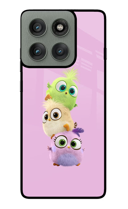 Cute Little Birds Moto Edge 60 Pro Back Cover