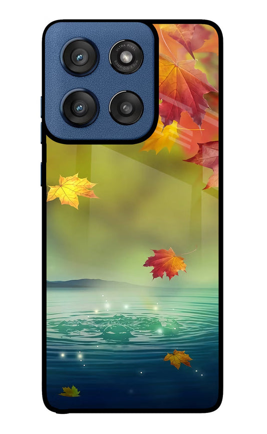 Flowers Moto Edge 60 Stylus Back Cover