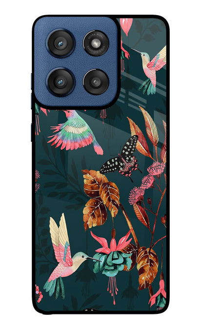 Birds Moto Edge 60 Stylus Back Cover