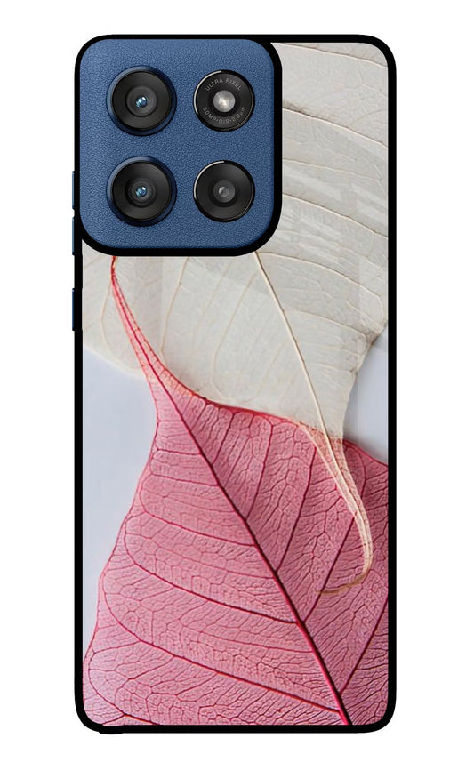White Pink Leaf Moto Edge 60 Stylus Back Cover