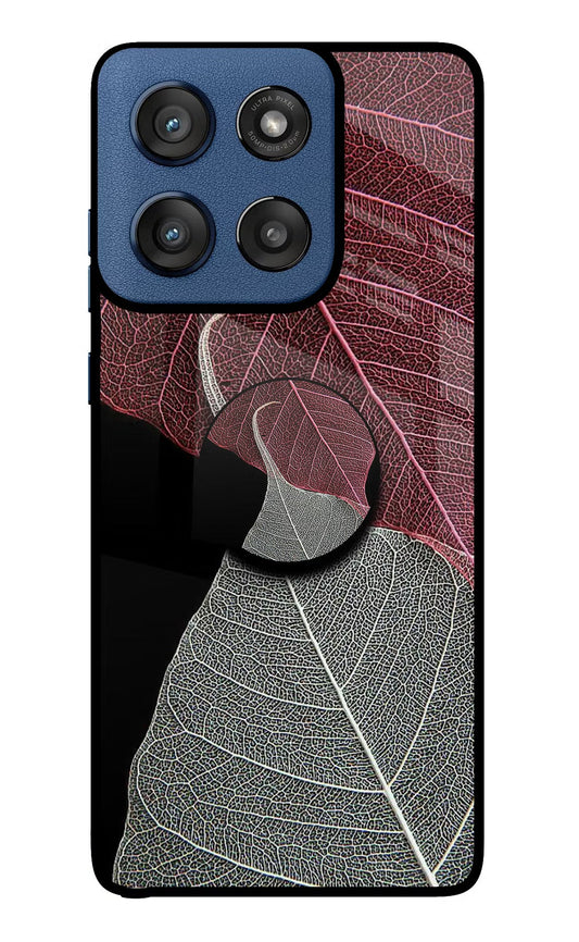 Leaf Pattern Moto Edge 60 Stylus Pop Case