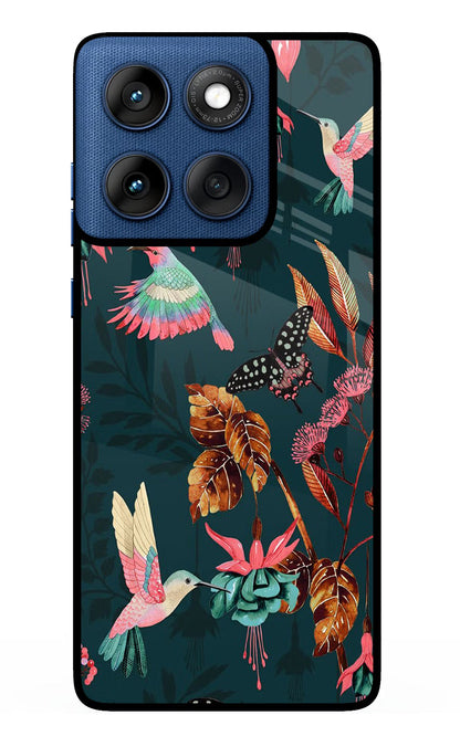 Birds Moto Edge 60 Back Cover