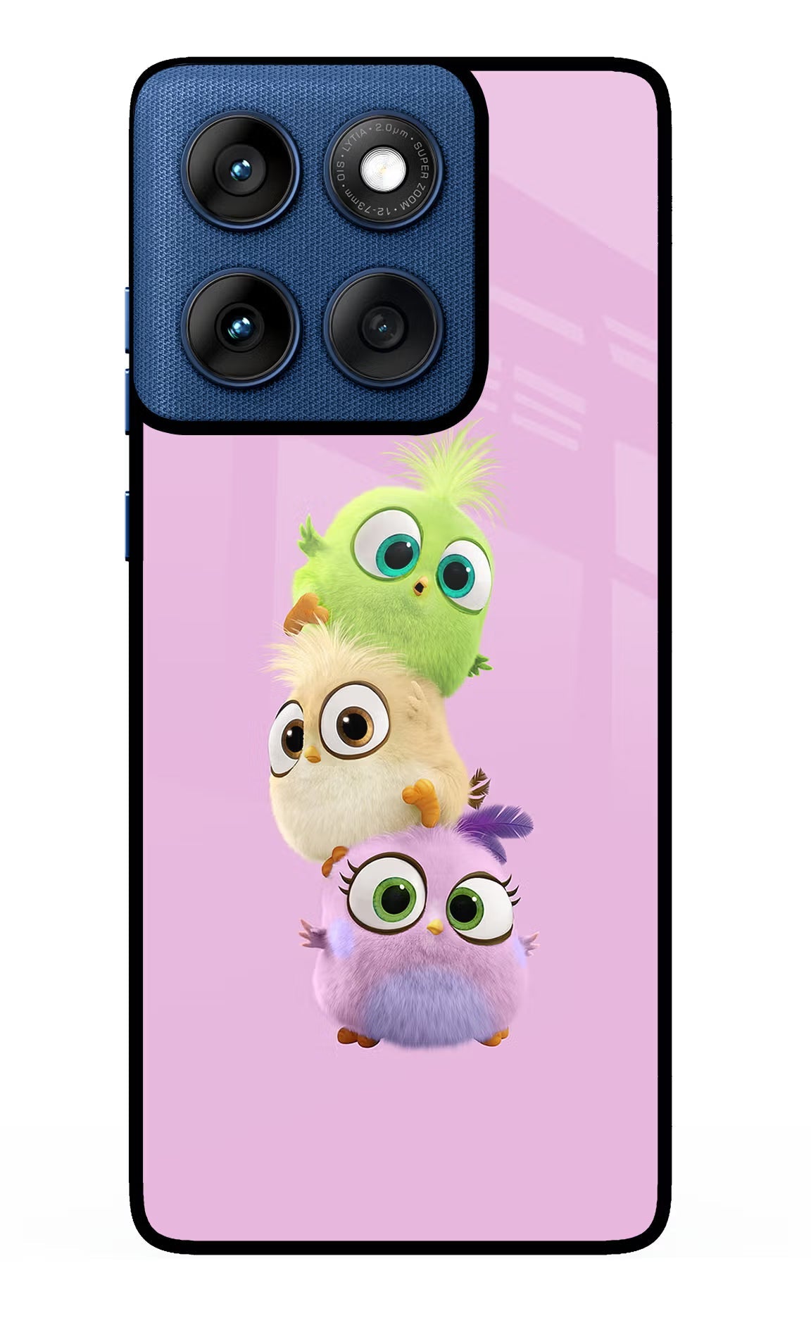Cute Little Birds Moto Edge 60 Glass Case