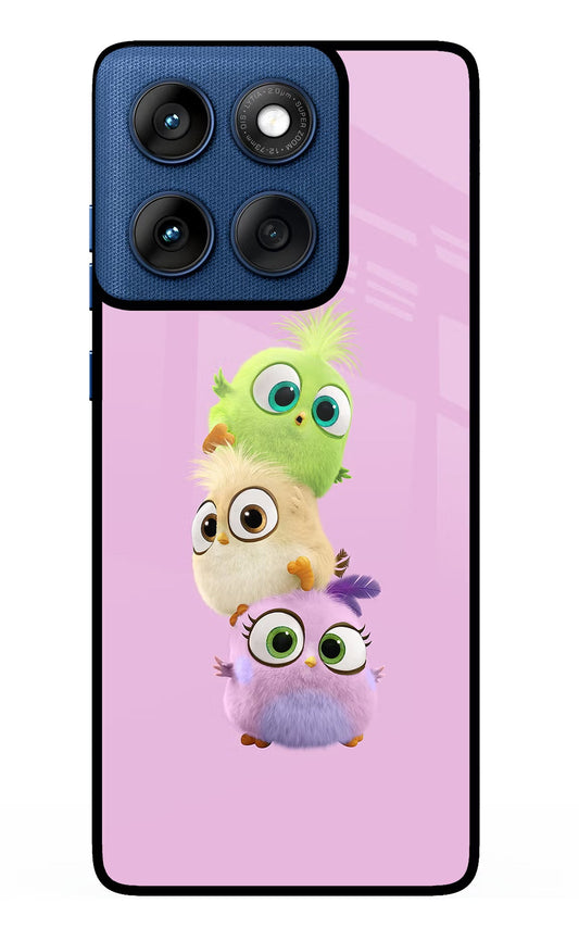 Cute Little Birds Moto Edge 60 Glass Case