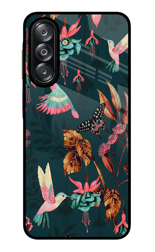 Birds Samsung A26 Back Cover