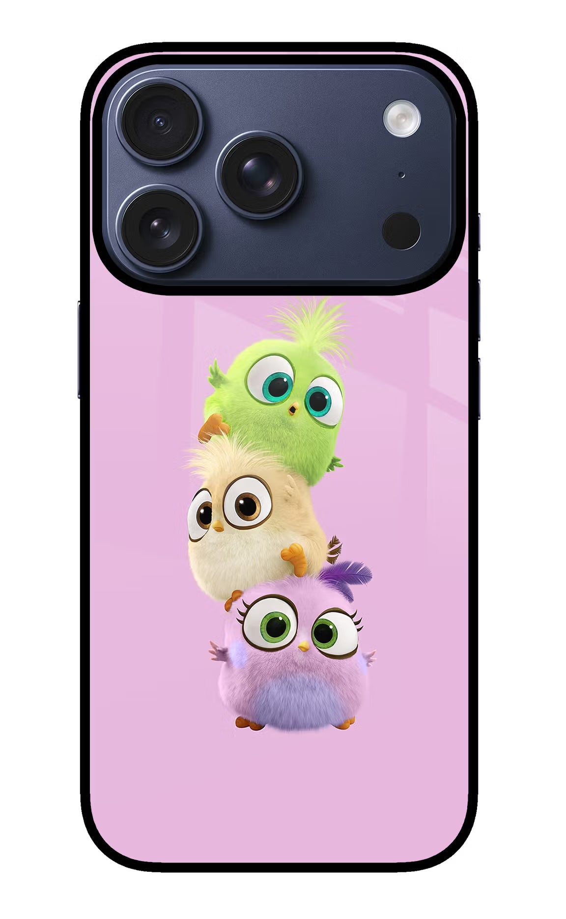 Cute Little Birds iPhone 17 Pro Back Cover