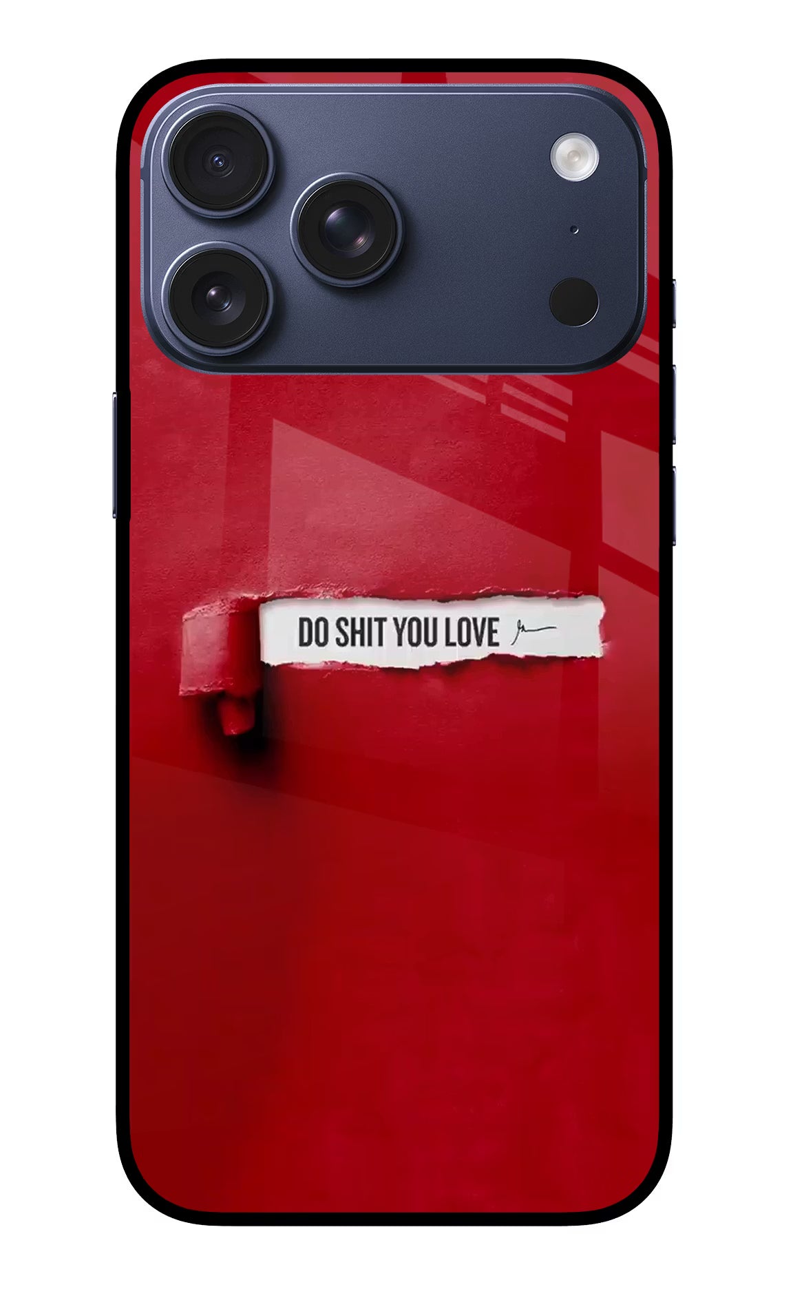 Do Shit You Love iPhone 17 Pro Max Back Cover