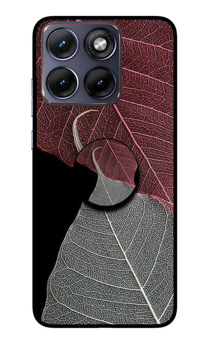 Leaf Pattern Moto Edge 70 Fusion Back Cover Glass Case - Hello Swanky