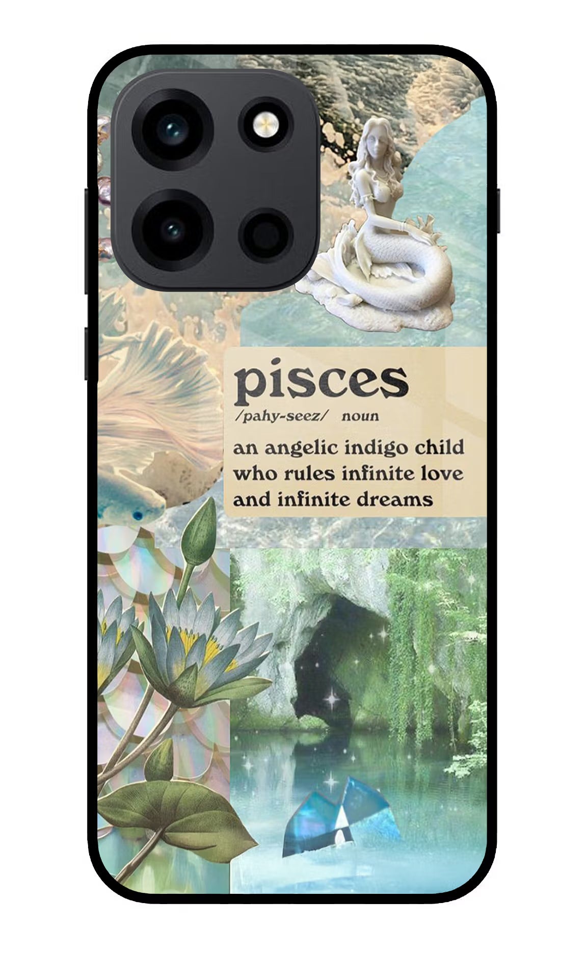 Pisces Zodiac OnePlus Nord 6 Back Cover Metal Case - Hello Swanky