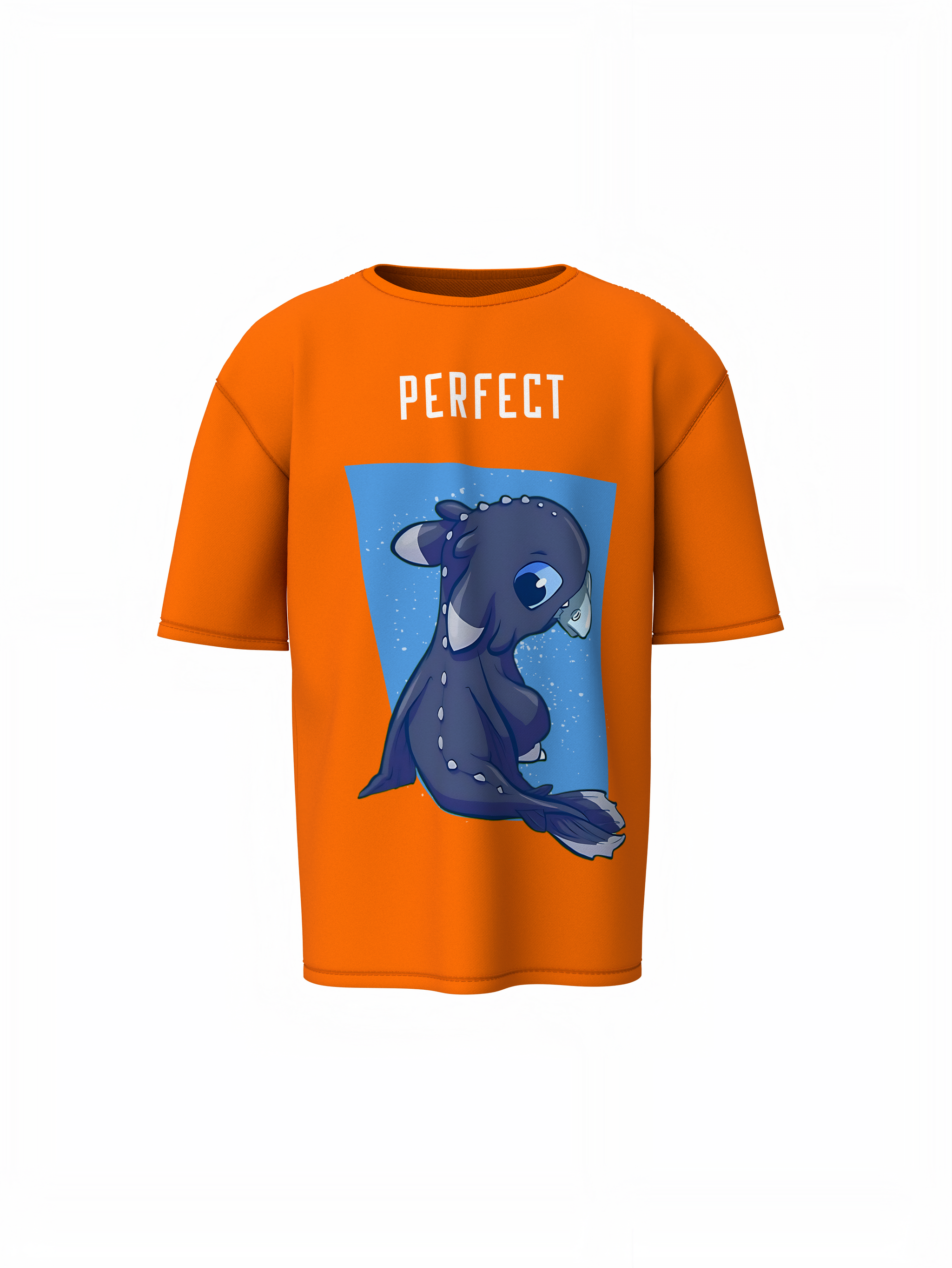 Toothless & Light Fury Oversized T-Shirts