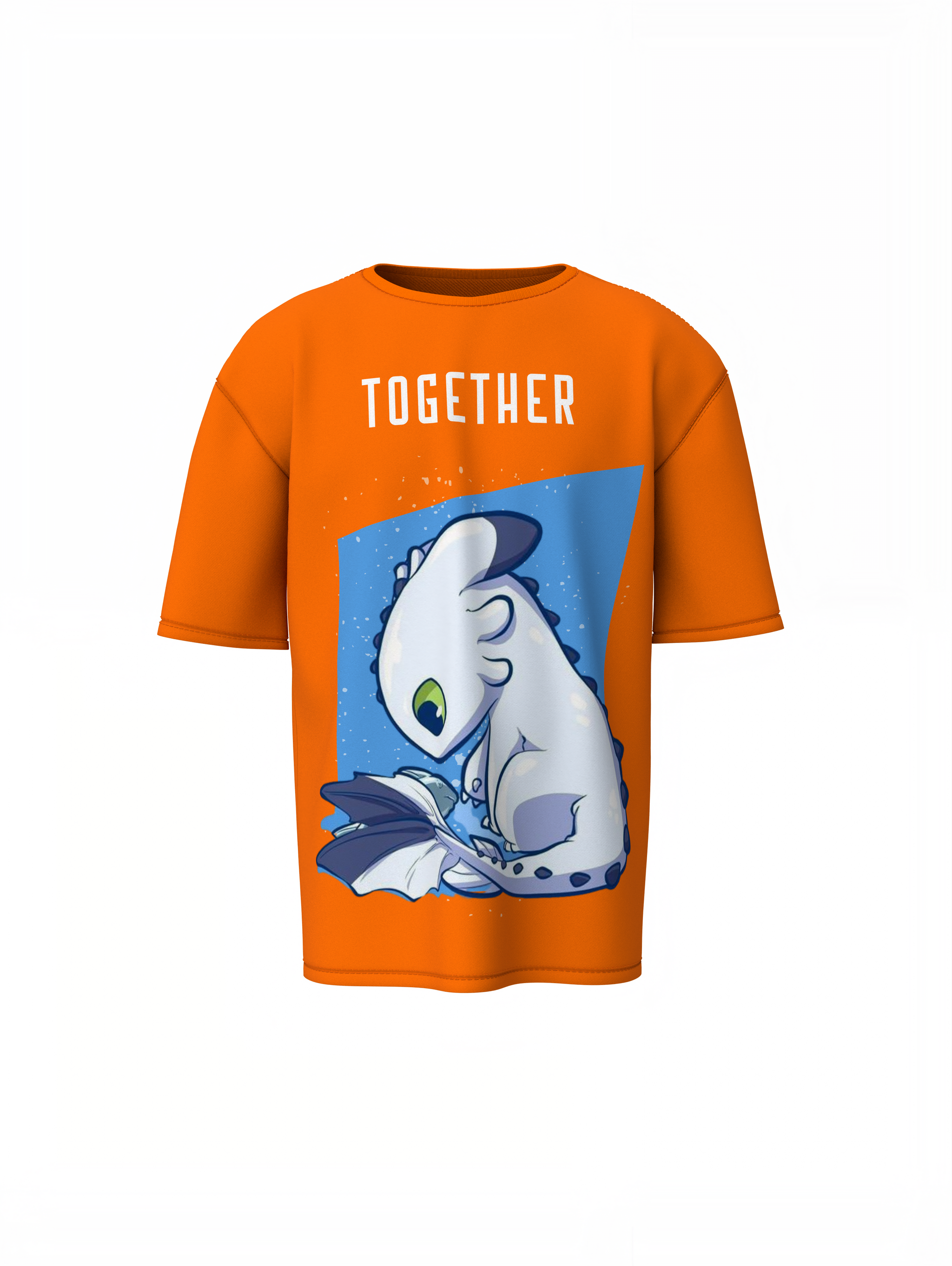 Toothless & Light Fury Oversized T-Shirts