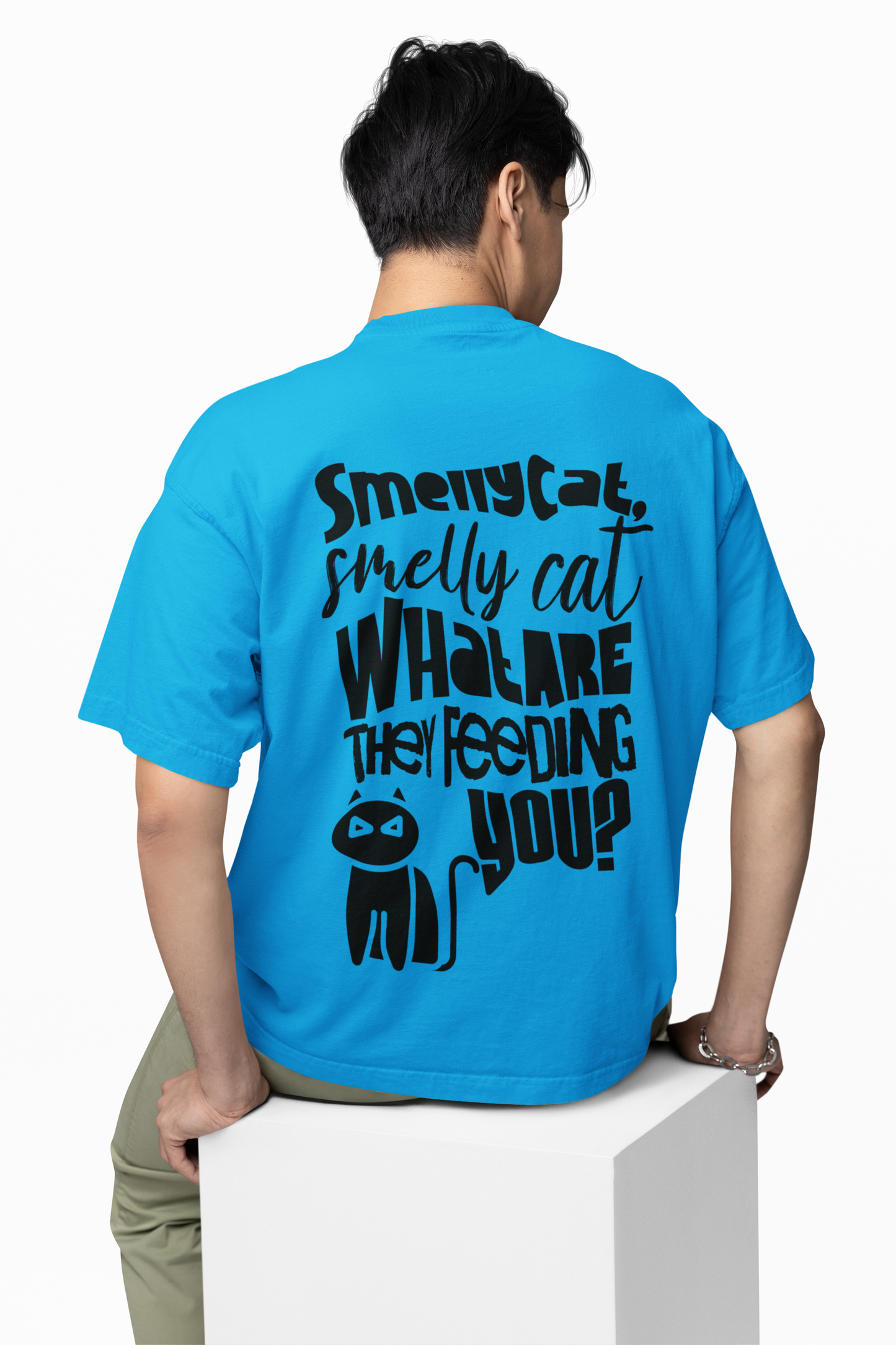 Smelly Cat Oversized T-Shirt for Funny Streetwear Style Now